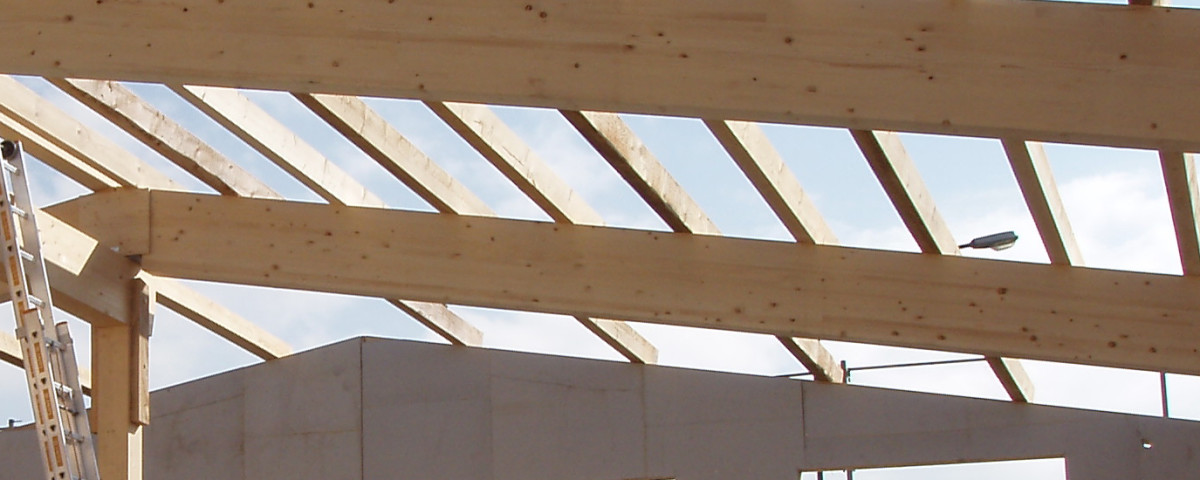 Hallenbau Dachkonstruktion