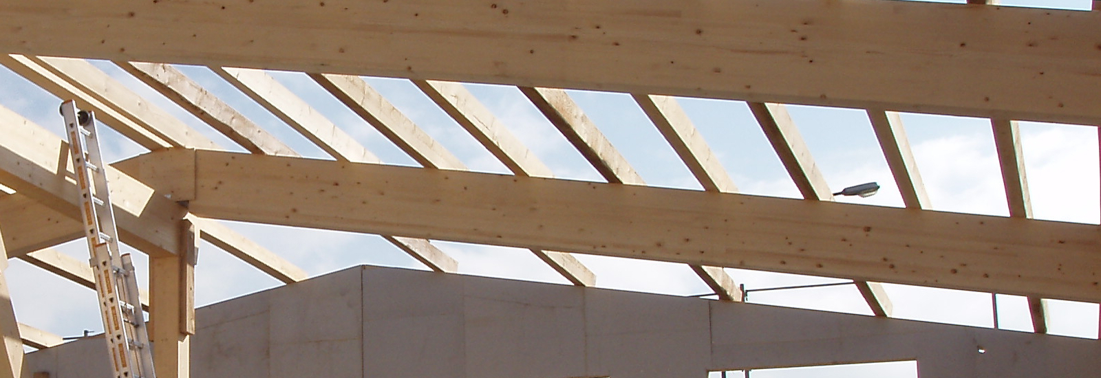 Hallenbau Dachkonstruktion