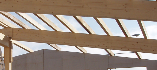 Hallenbau Dachkonstruktion