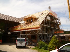 Hadorn 035