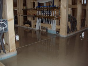 Gonseth 080