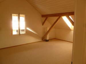 Eugster 054